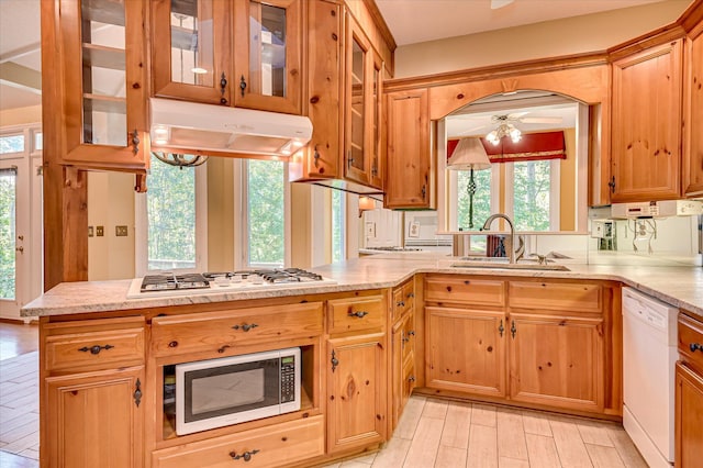 137 Ashwood Dr, North Augusta, SC 29860 - photo 20