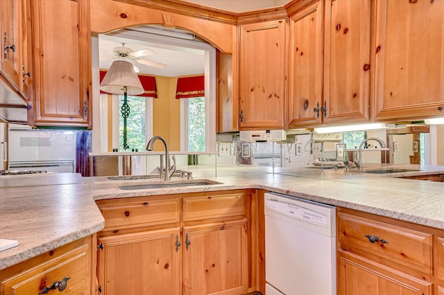 137 Ashwood Dr, North Augusta, SC 29860 - photo 19