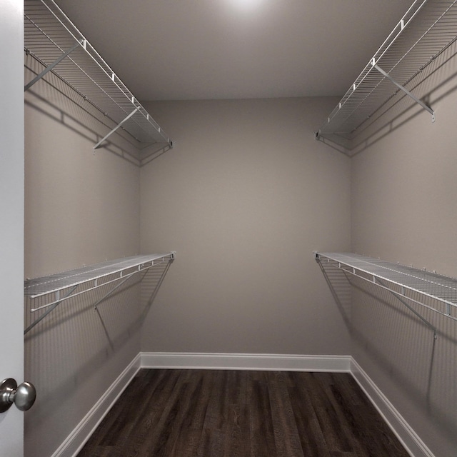 333 Sumac Trl, Evans, GA 30809 - walk in closet featuring wood finished floors