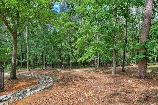 203 Ellen Trce, Mccormick, SC 29835 - photo 41