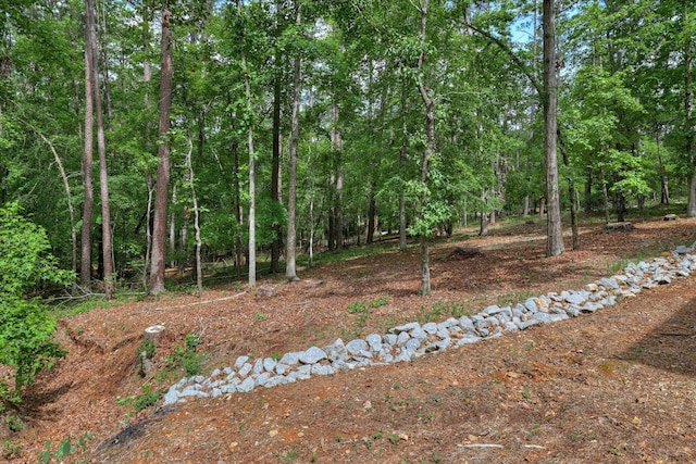 203 Ellen Trce, Mccormick, SC 29835 - photo 42