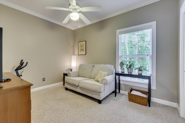 203 Ellen Trce, Mccormick, SC 29835 - photo 32