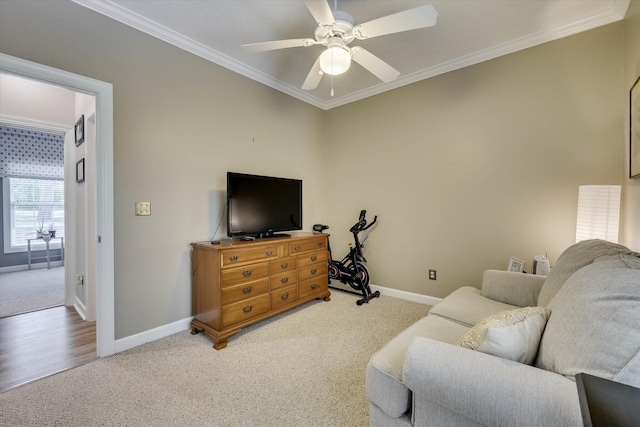 203 Ellen Trce, Mccormick, SC 29835 - photo 33