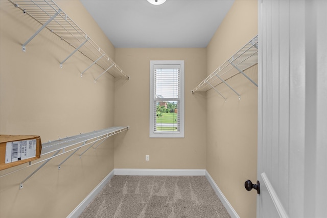 946 Windmill Pkwy, Evans, GA 30809 - photo 30