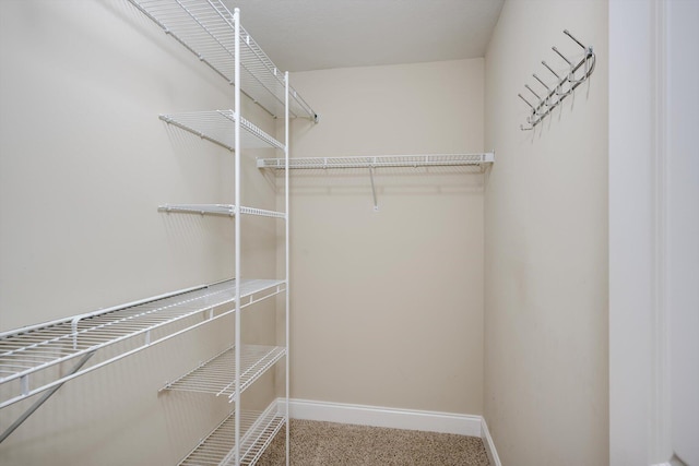 3113 Sunset Maple Trl, Evans, GA 30809 - walk in closet featuring carpet floors