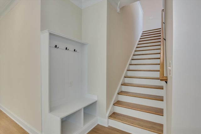 mudroom with wood finished floors and baseboards