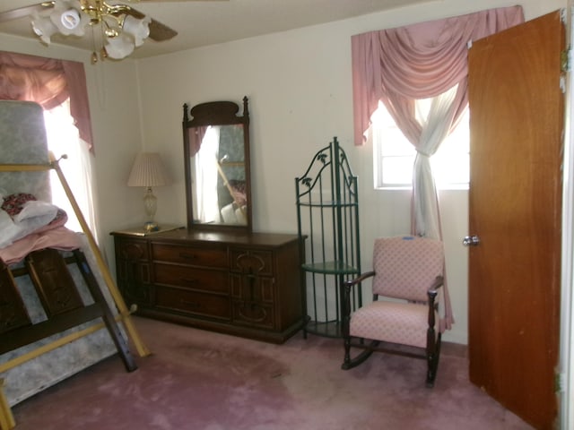 3014 Roxbury Ct, Augusta, GA 30906 - view of carpeted bedroom