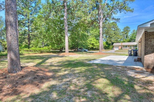 back of property featuring a lawn and a patio