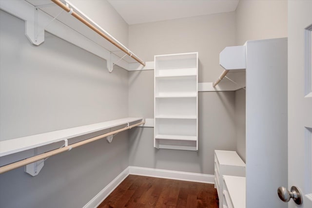 walk in closet with dark wood-type flooring