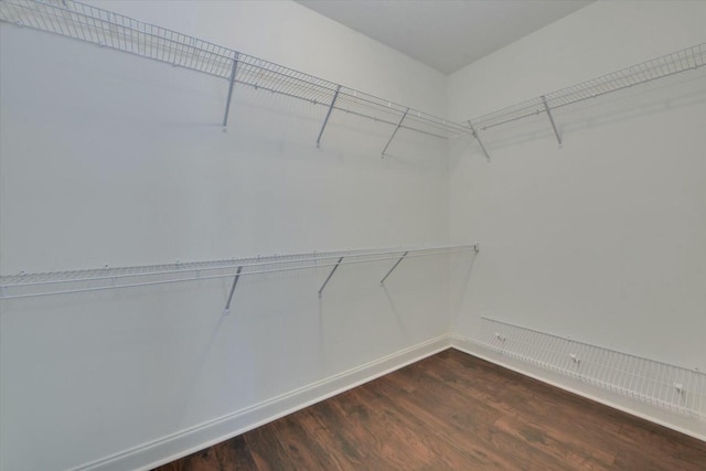 spacious closet with dark wood-style flooring