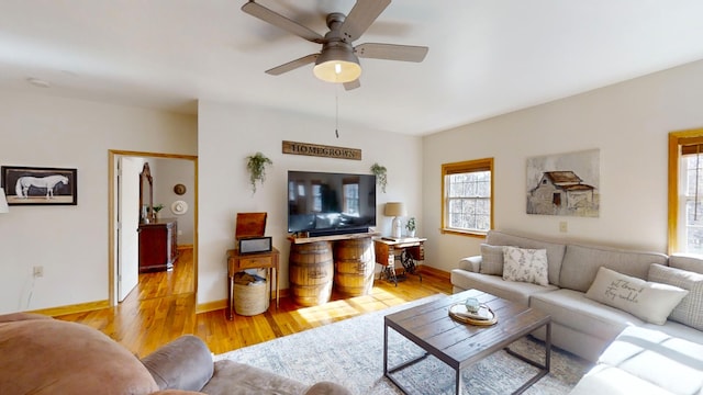 living room with ceiling fan and light hardwood / wood-style flooring