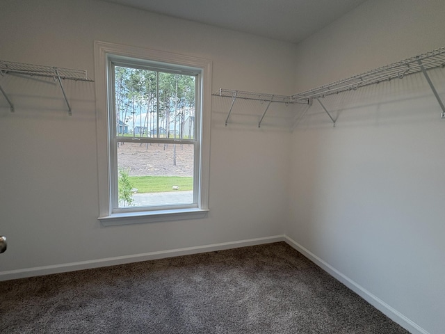 930 Walker Point Dr, Grovetown, GA 30813 - photo 10