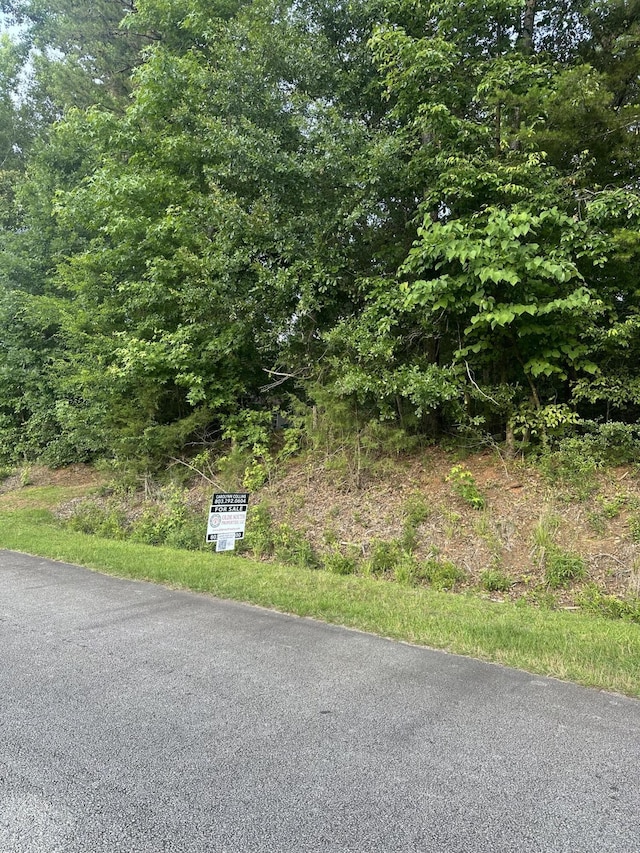 0 Skyline Way, Lavonia GA, 30553 land for sale