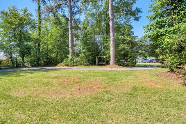 427 Ashland Dr, Augusta, GA 30909 - view of grassy yard