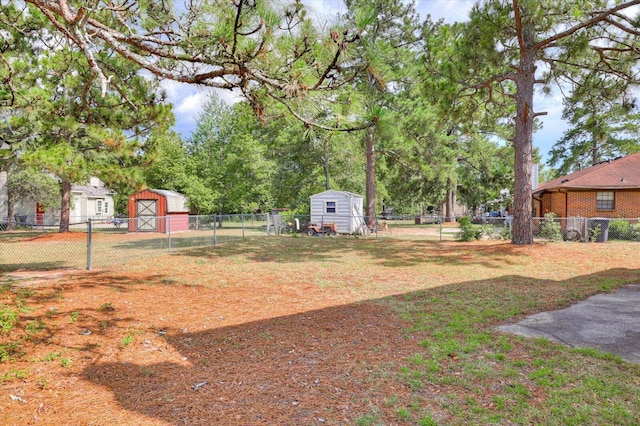 view of yard featuring a shed