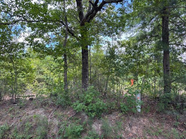 0 Simons Rd, Thomson, GA 30824 - photo 13