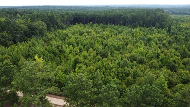 0 Simons Rd, Thomson, GA 30824 - photo 9
