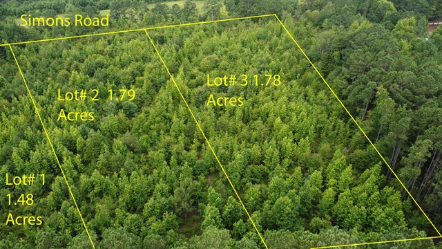 0 Simons Rd, Thomson, GA 30824 - photo 8