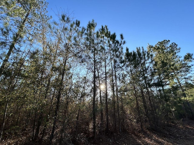 Listing photo 3 for LOT62 High Country Ct, Windsor SC 29856