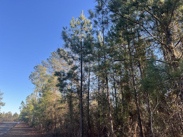 Listing photo 2 for LOT62 High Country Ct, Windsor SC 29856