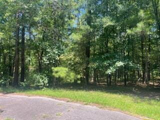 BL33L29 Bordeaux Pl, Mccormick, SC 29835