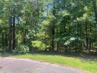 BL33L29 Bordeaux Pl, Mccormick SC, 29835 land for sale