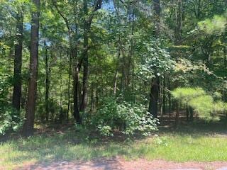 Listing photo 2 for BL33L29 Bordeaux Pl, Mccormick SC 29835