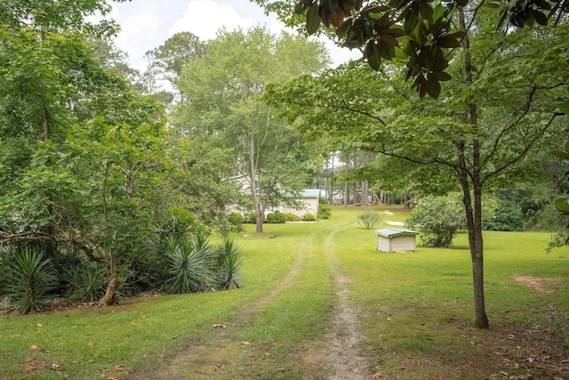 1105 Shore Dr, Tignall, GA 30668 - view of grassy yard featuring an outbuilding