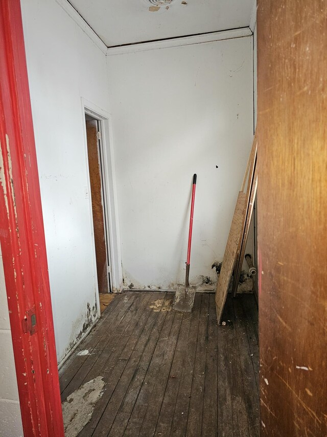 1126 Florance St, Augusta, GA 30901 - photo 8
