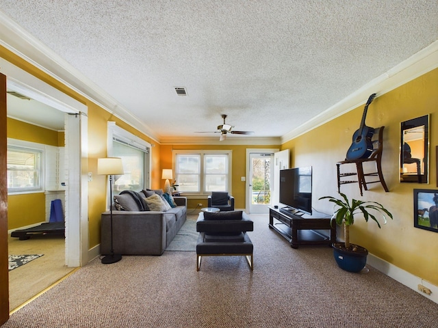 102 Ellis St, Wrens, GA 30833 - living room featuring ornamental molding and carpet