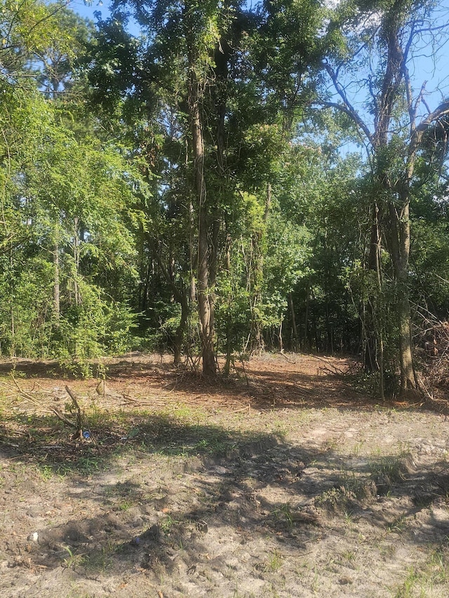 470 Forrest Dr, Louisville, GA 30434 - photo 3