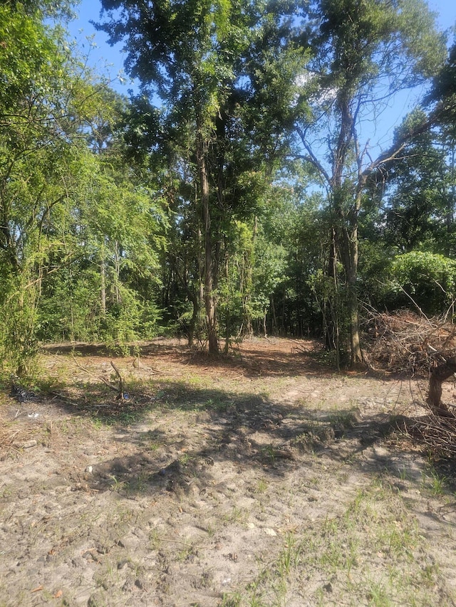 470 Forrest Dr, Louisville, GA 30434 - photo 4