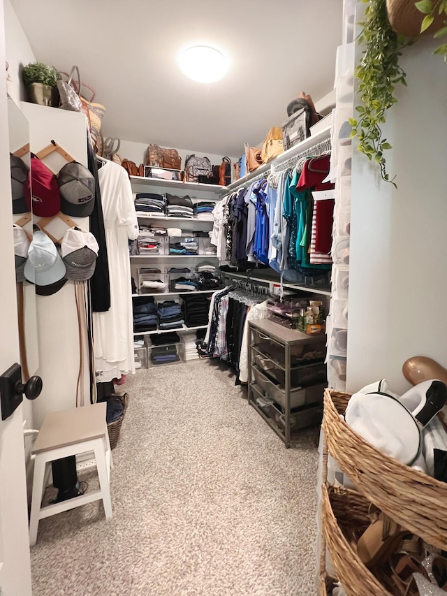 spacious closet featuring carpet floors