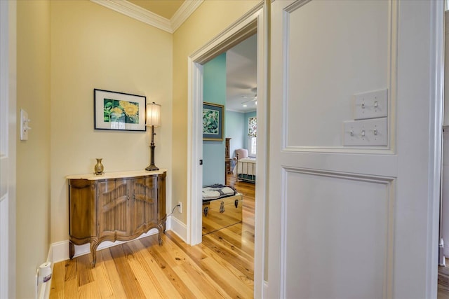 hallway featuring wood-type flooring and crown molding