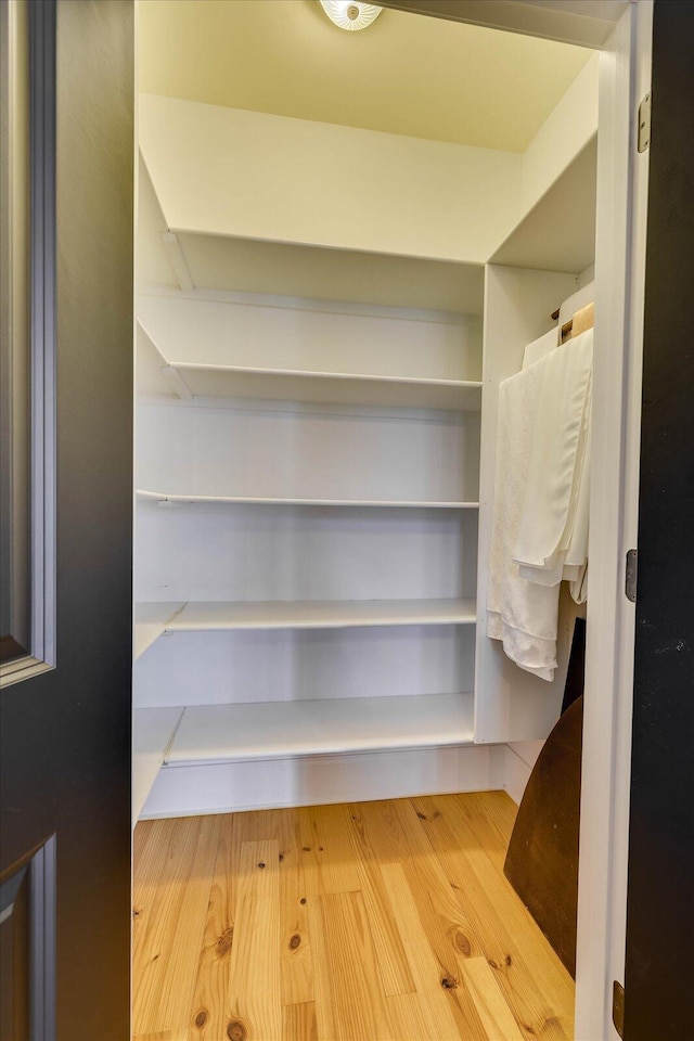 spacious closet with hardwood / wood-style floors