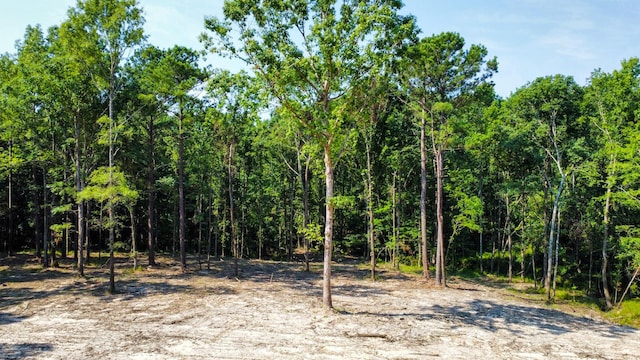 0 Backway Rd, Lincolnton, GA 30817