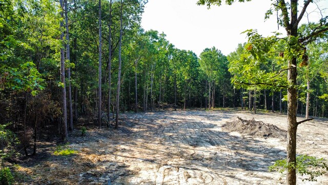 0 Backway Rd, Lincolnton, GA 30817