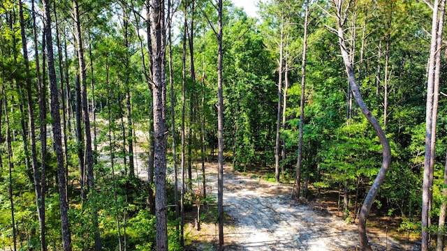 0 Backway Rd, Lincolnton, GA 30817