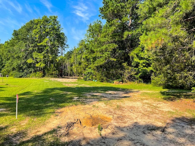 0 Backway Rd, Lincolnton, GA 30817
