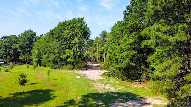 0 Backway Rd, Lincolnton, GA 30817