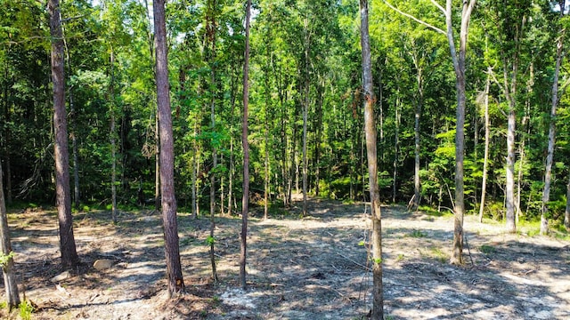 0 Backway Rd, Lincolnton, GA 30817