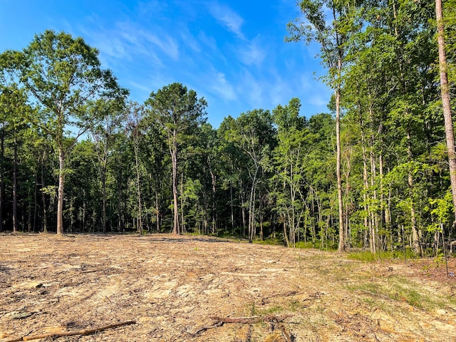0 Backway Rd, Lincolnton, GA 30817