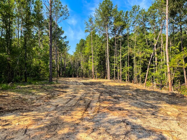 0 Backway Rd, Lincolnton, GA 30817