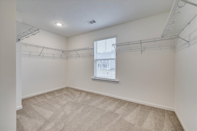 walk in closet featuring carpet