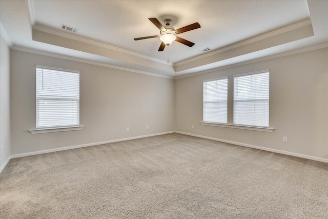 empty room with a tray ceiling and a wealth of natural light