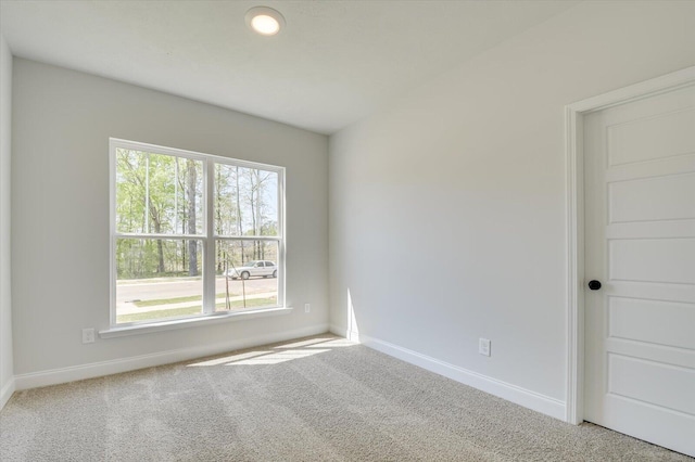 unfurnished room with carpet flooring