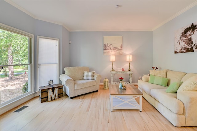 205 Chardonnay Ln, Aiken, SC 29805 - photo 5