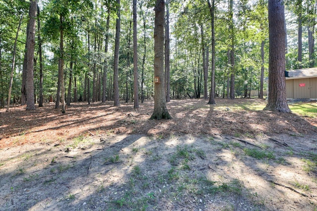 205 Chardonnay Ln, Aiken, SC 29805 - photo 41