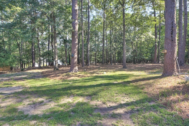 205 Chardonnay Ln, Aiken, SC 29805 - photo 44