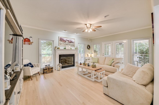 205 Chardonnay Ln, Aiken, SC 29805 - photo 7